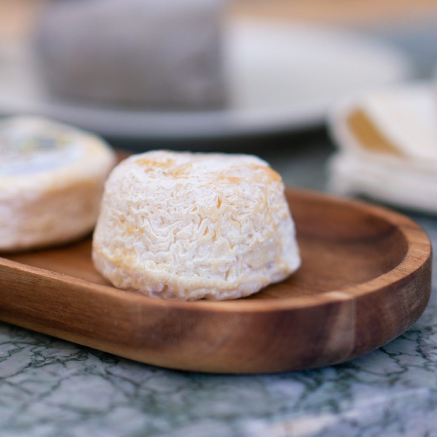 Le Fromage le Plus Cher au Monde : Un Délice à un Prix Exorbitant